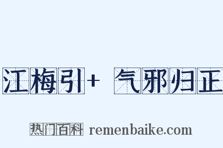江梅引+气邪归正是什么意思的图片
